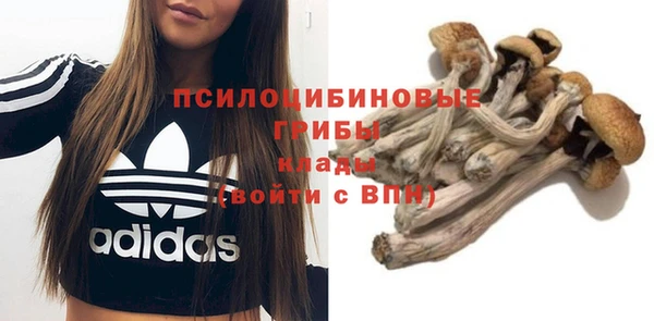 ALPHA PVP Алзамай