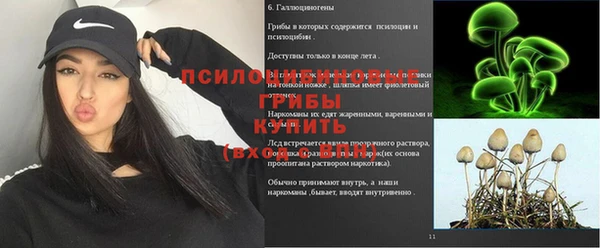МДПВ Алексеевка