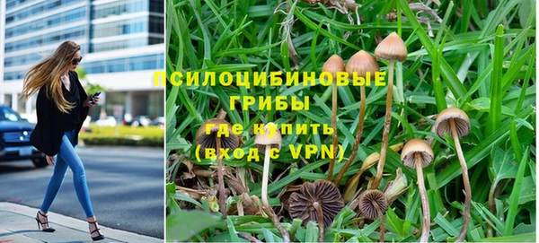 ALPHA PVP Алзамай